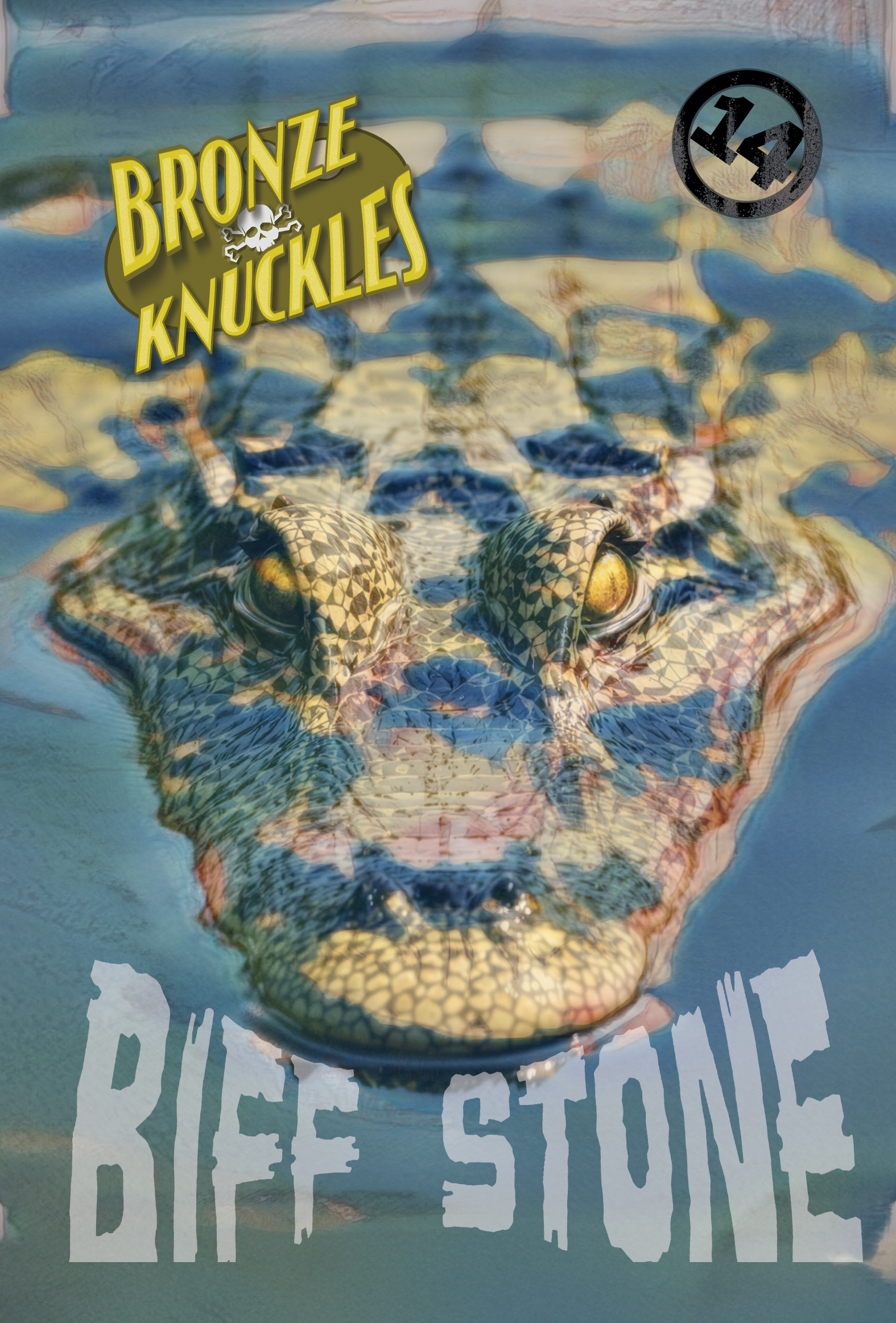 Bronze Knuckles #14 comic cover